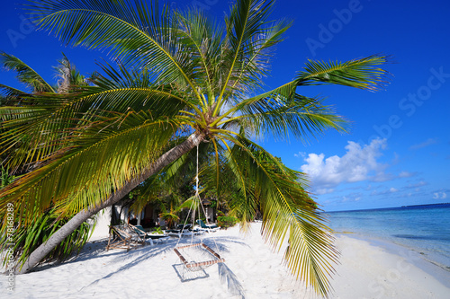 Fototapeta Naklejka Na Ścianę i Meble -  Coconut island