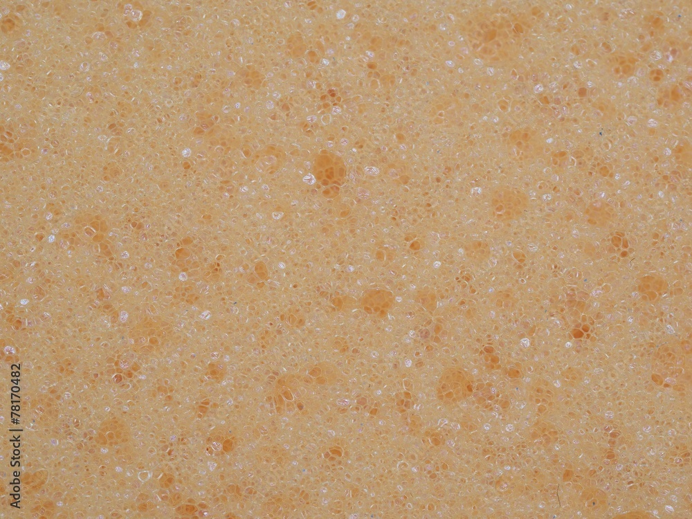 Texture Texture