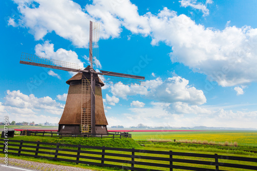 Windmill in Molendjik Neterlands with meadow