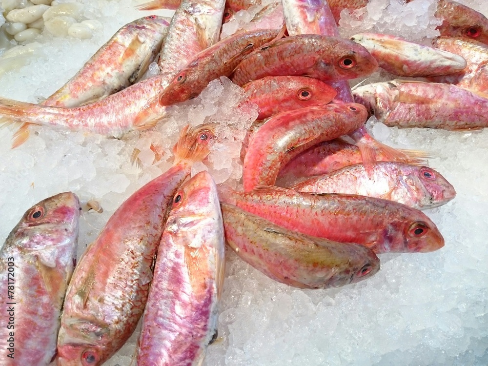 Pescado fresco de la bahía de Cádiz Pescado fresco de la bahía de Cádiz