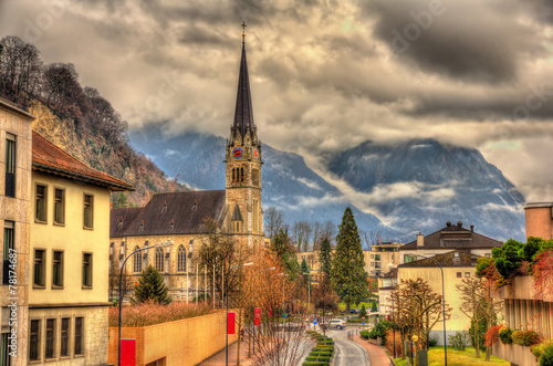 View of Cathedral of St. Florin in Vaduz - Liechtenstein
