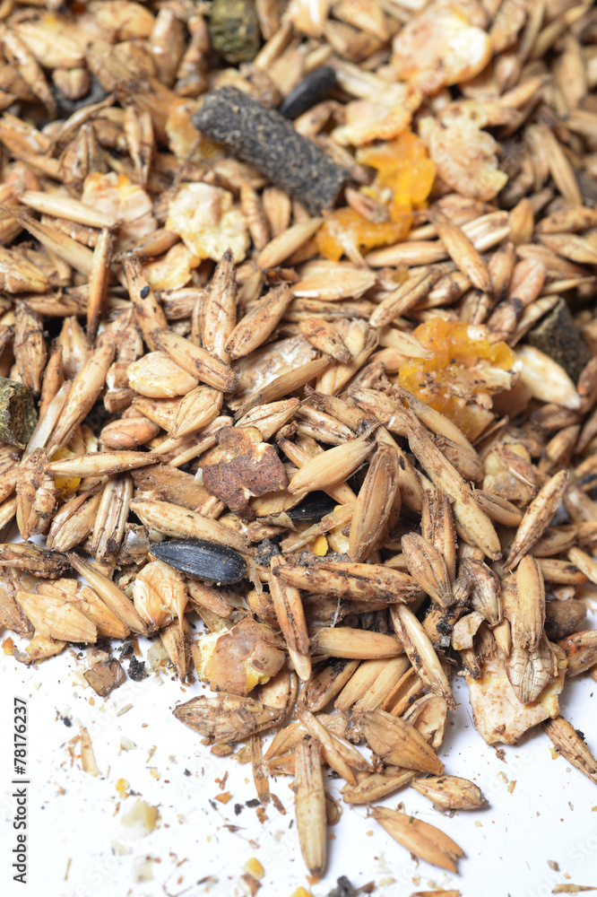crops natural sportive muesli background. for horse. close up crops natural sportive muesli background. for horse. close up