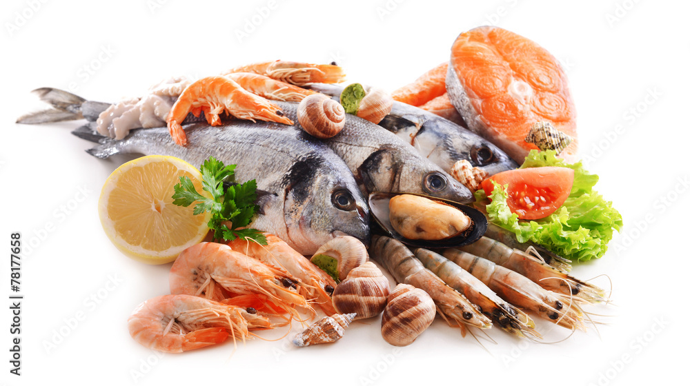 Fresh fish and other seafood isolated on white Fresh fish and other seafood isolated on white