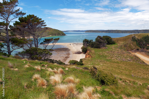 View of Native Island from Stewart Island, Wohlers monument look