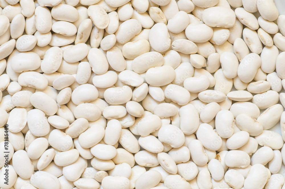 dry white beans dry white beans