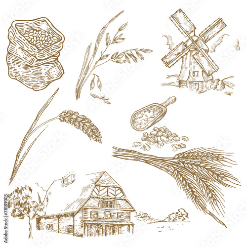 Cereals set. Hand drawn illustration windmill, wheat, oats, farm