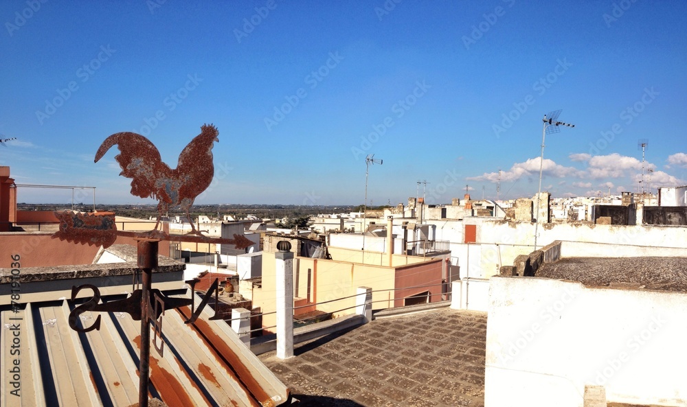 Naklejka premium Matino (Lecce)