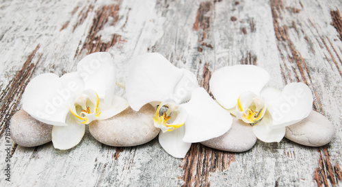 Obraz na plátně beautiful orchid with stones