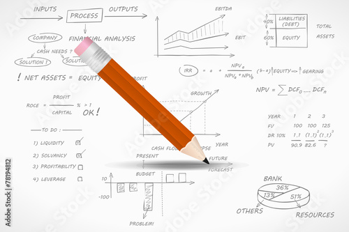 Financial audit