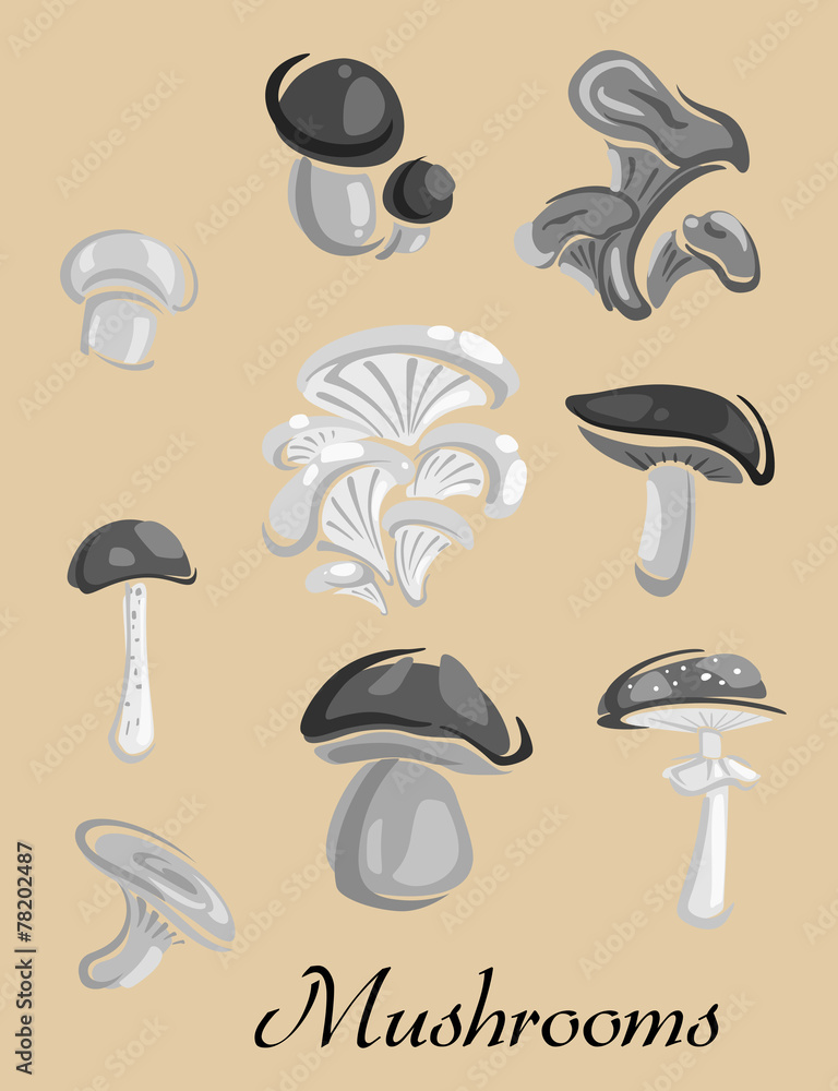 Edible and toxic forest Mushrooms placard Edible and toxic forest Mushrooms placard