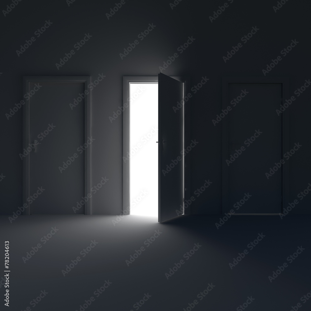 Dark room with the door open and the light behind her. Dark room with the door open and the light behind her.