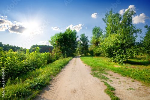 Trees and road