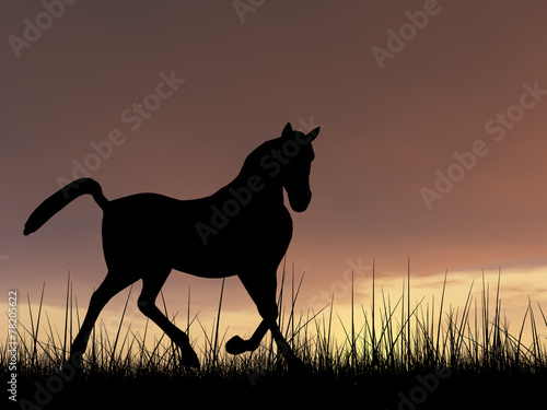 Horse silhouette in grass at sunset