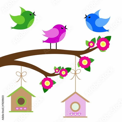 birds colorful and birdhouse on tree branches