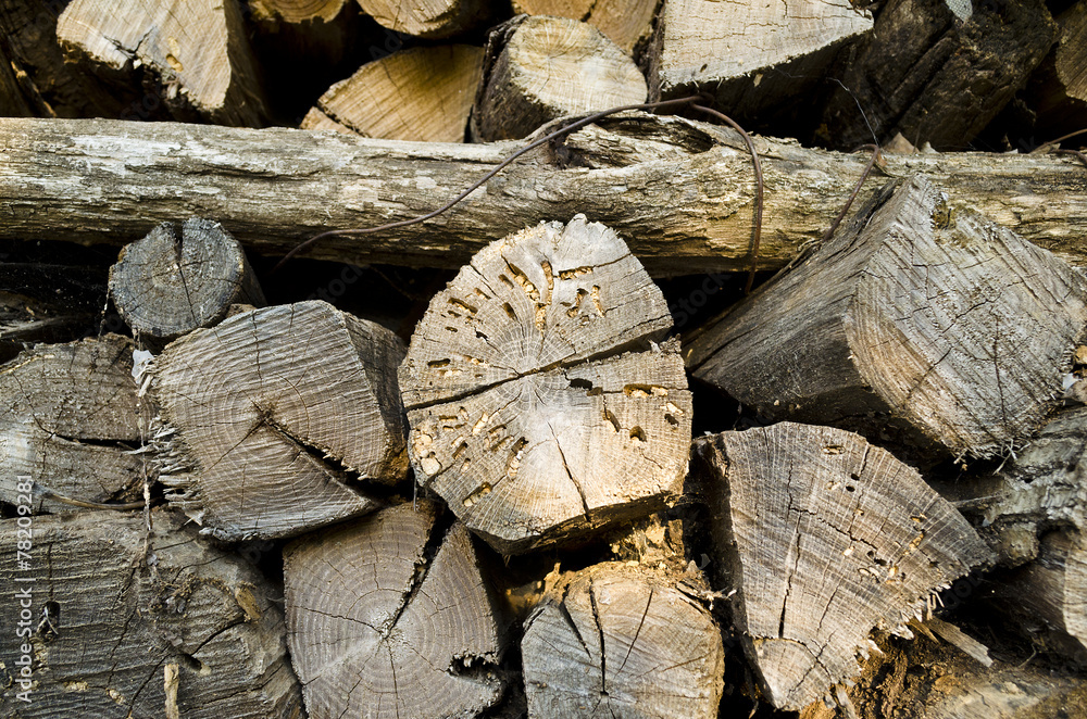 Stack of firewood abandoned for long time outside Stack of firewood abandoned for long time outside