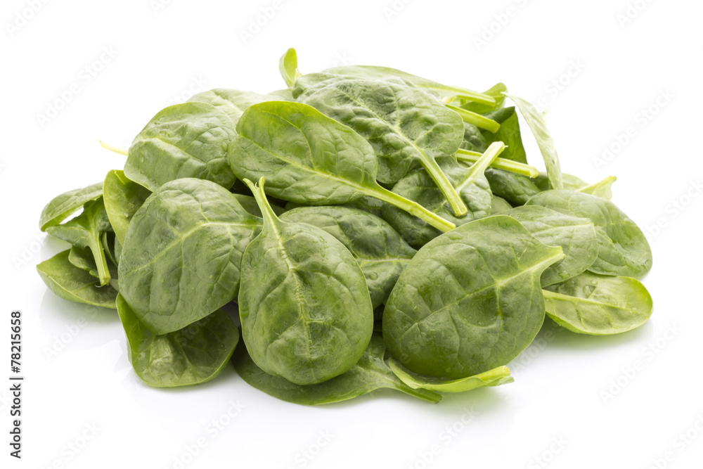 Spinach isolated on the white background. Spinach isolated on the white background.