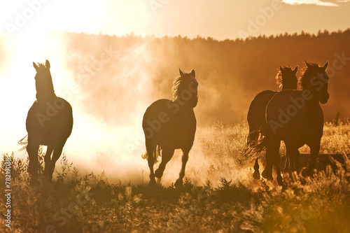 A herd of horses at dawn