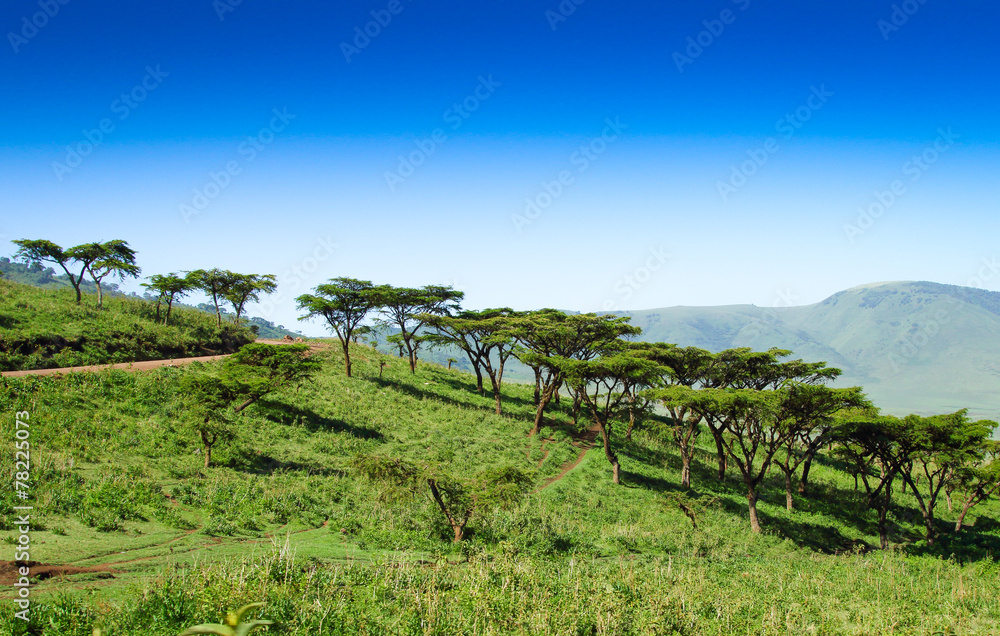 Obraz premium African landscape,