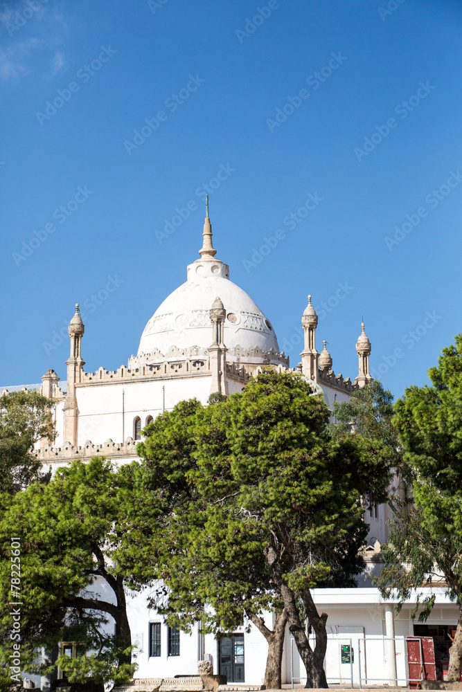 Fototapeta premium Cathédrale saint louis Carthage