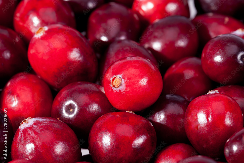 background of red fresh raw fruits of cranberries macro background of red fresh raw fruits of cranberries macro