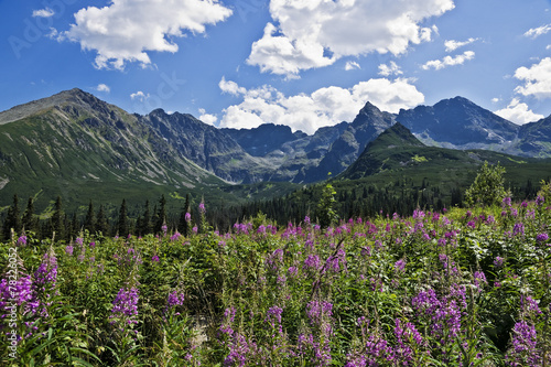 A beautiful valley in the Polish Tatra mountains