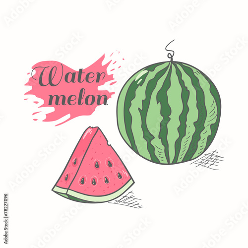 Vector illustration of juicy watermelon