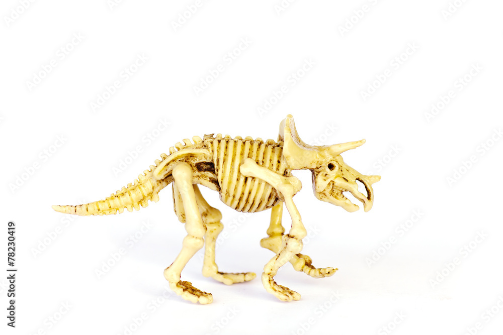 Naklejka premium Dinosaur skeleton model isolated on white - Stock Image