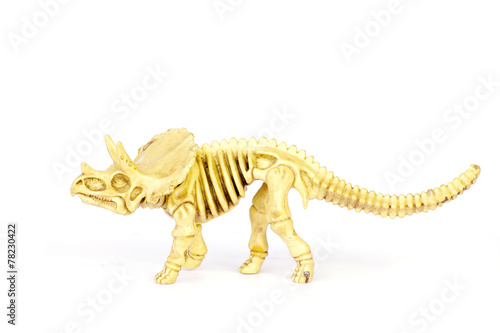 Dinosaur skeleton model isolated on white - Stock Image © singkamc