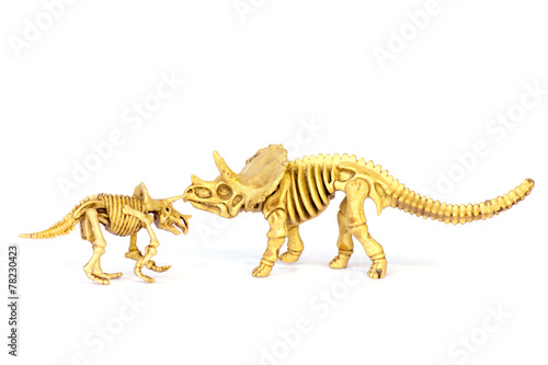 Dinosaur skeleton model isolated on white - Stock Image © singkamc