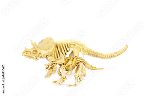 Dinosaur skeleton model isolated on white - Stock Image