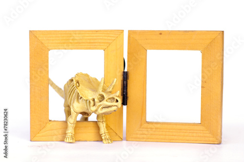 Dinosaur skeleton model on wood frame isolated on white - Stock