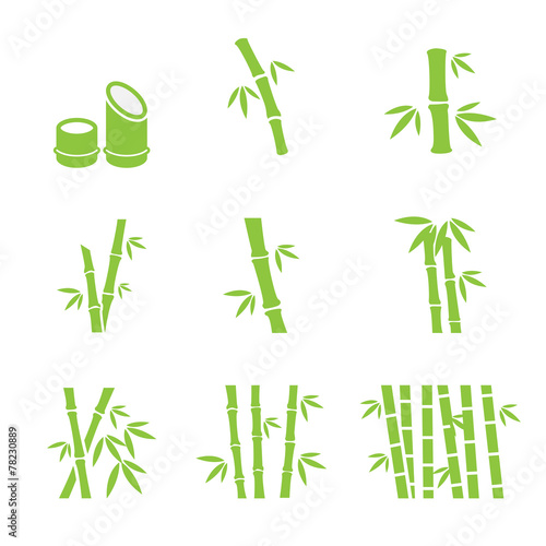bamboo icon