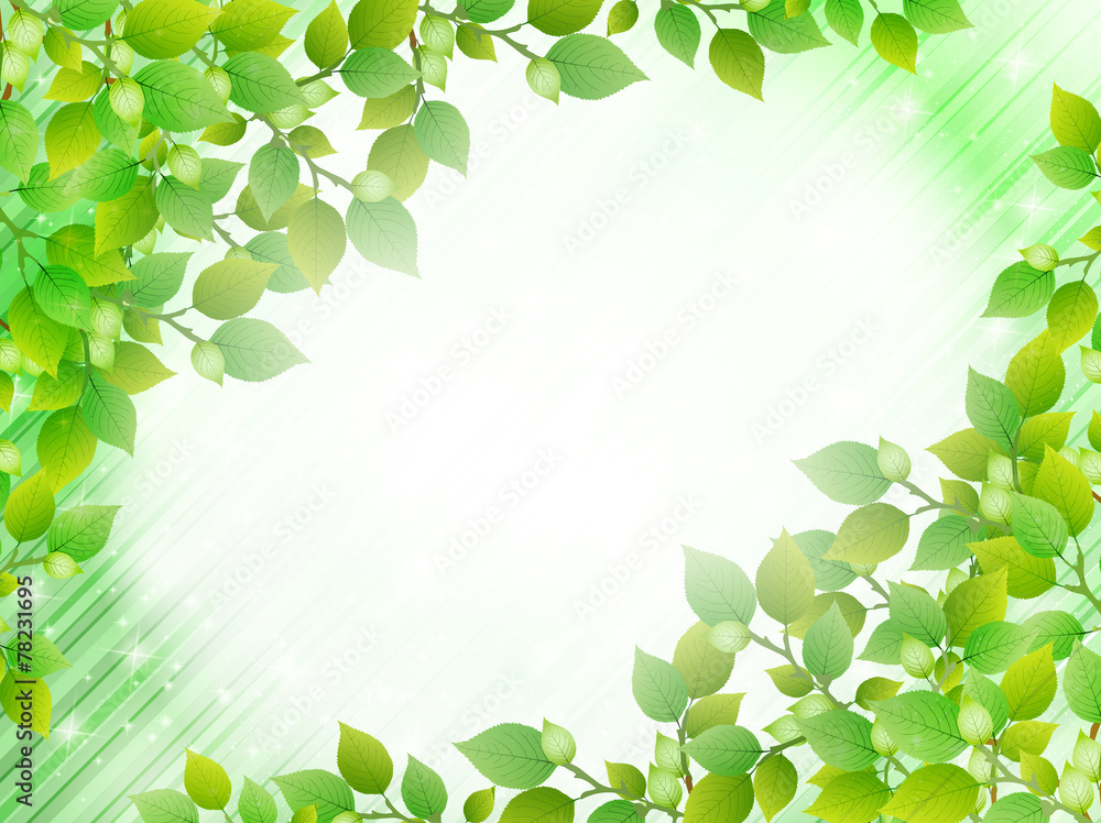 葉　新緑　背景