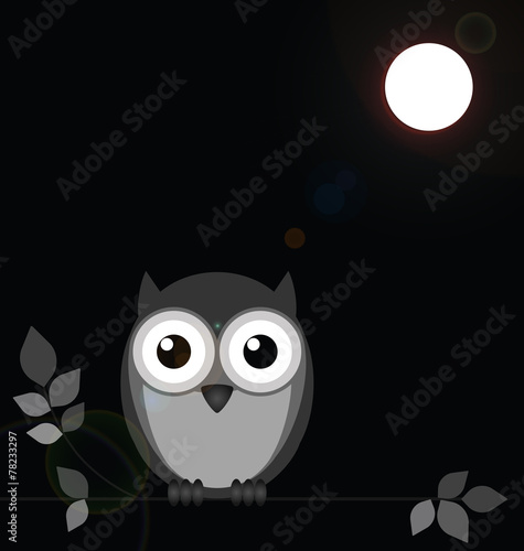 Monochrome owl bathed in moonlight photo