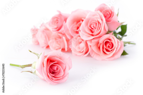 pink rose flower on white background © sutichak
