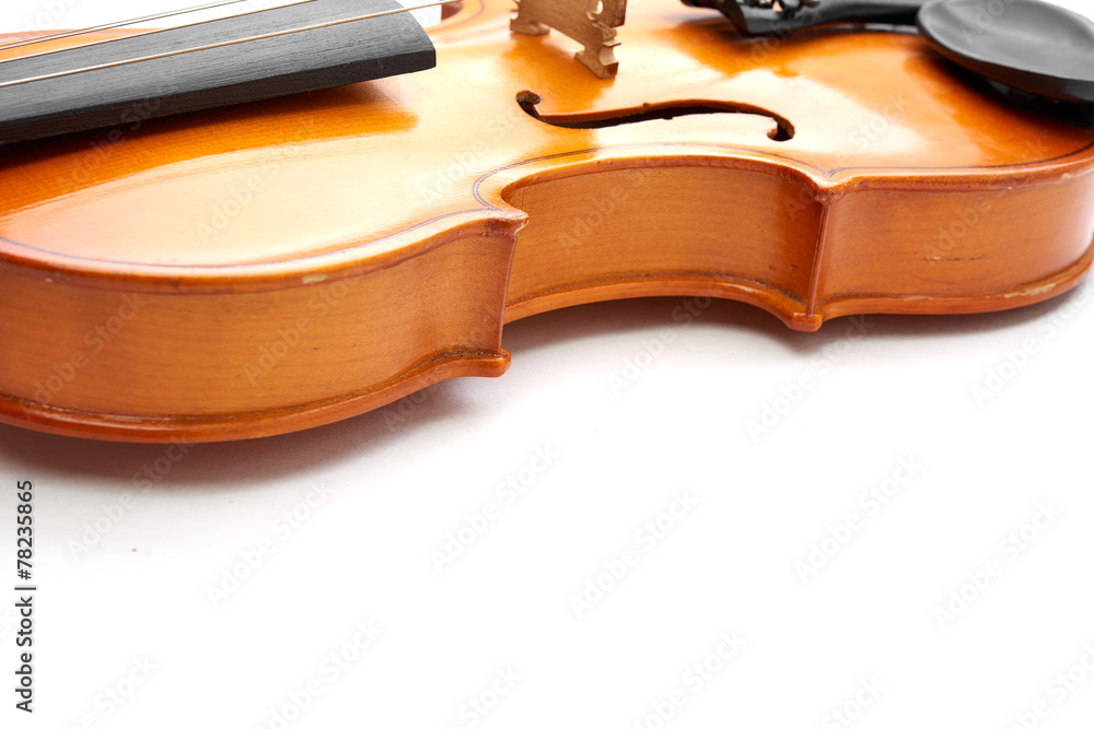 Obraz premium violin on white background