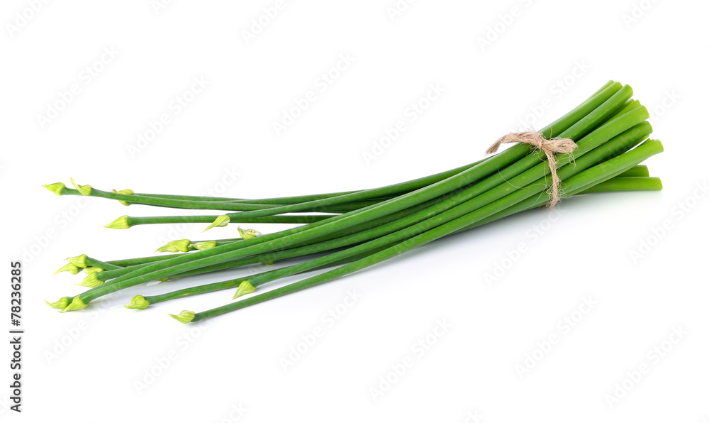 Onion flower isolated on white background Onion flower isolated on white background