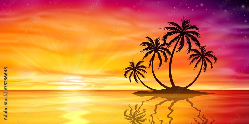 Sunset, Sunrise with Palm Tree