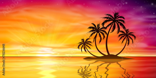 Fototapeta Naklejka Na Ścianę i Meble -  Sunset, Sunrise with Palm Tree