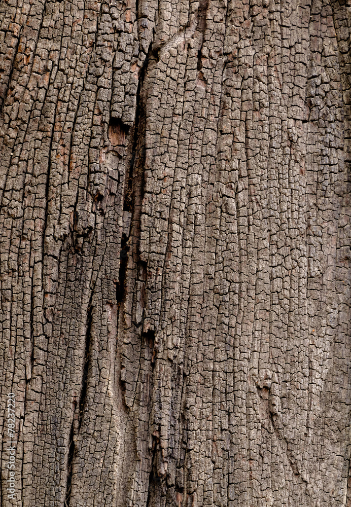 Old wooden textured background Old wooden textured background