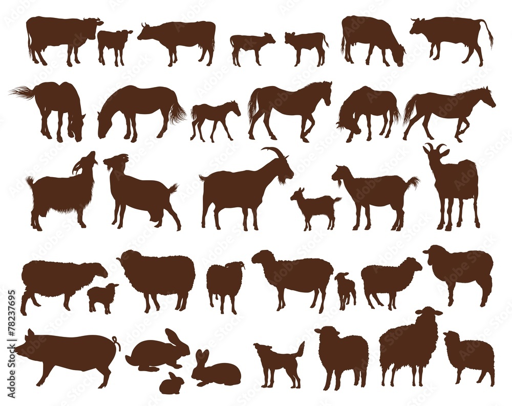 farm animals farm animals