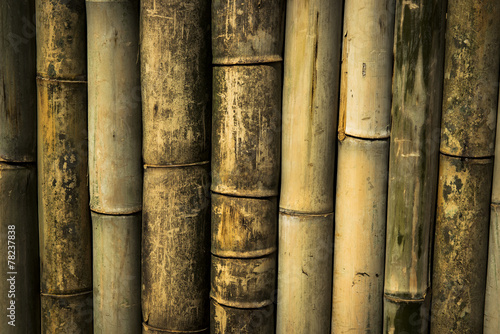 bamboo wall background and texture