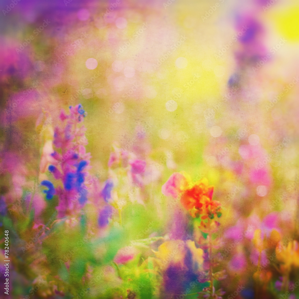 Obraz premium Spring Background. Summer Background. Nature Background