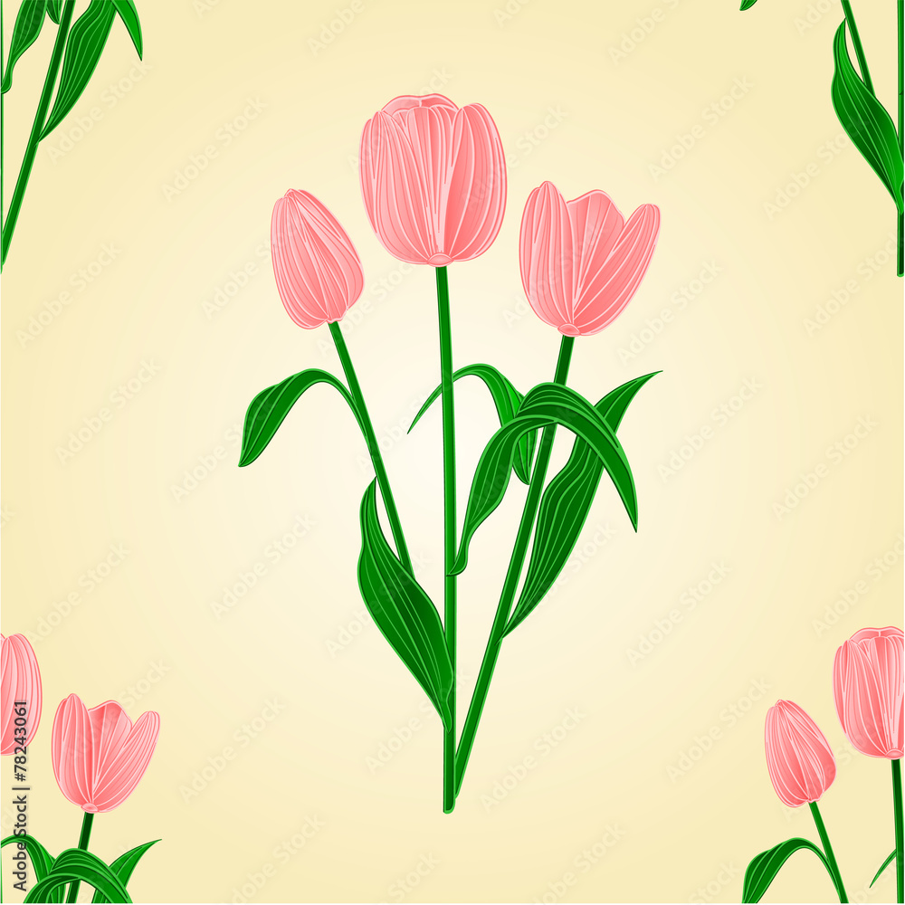 Seamless texture tulips spring background vector