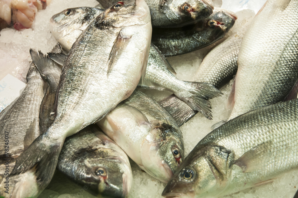 Fototapeta premium Fresh fish
