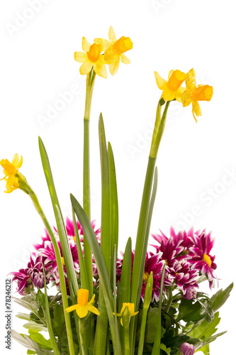 Bouquet of daffodils and chrysanthemums