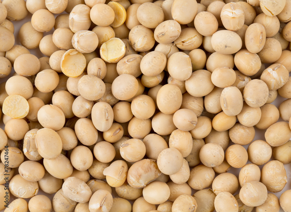 soya beans isolated on white soya beans isolated on white