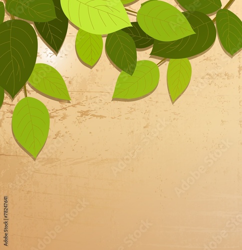 leaf with retro concept