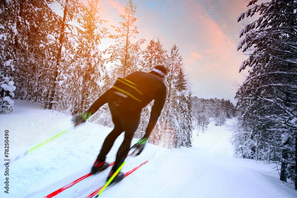 Cross-country skiing in Sweden - obrazy, fototapety, plakaty 