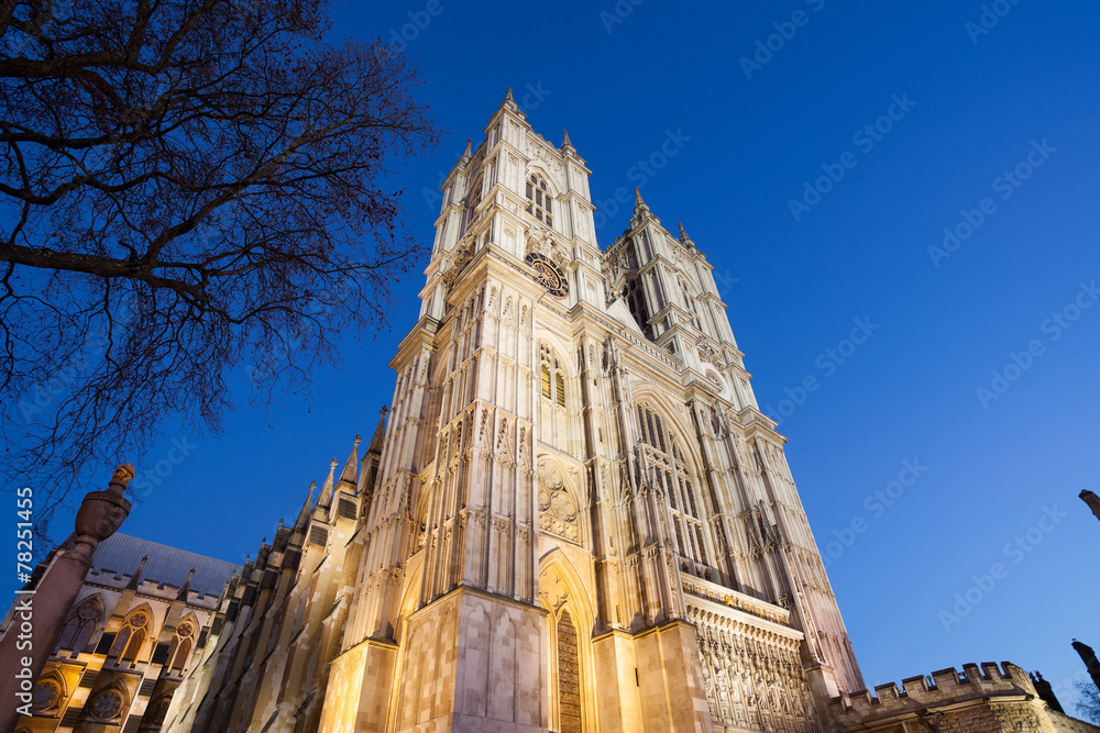 Fototapeta premium Westminster Abbey at night, London, England, UK...